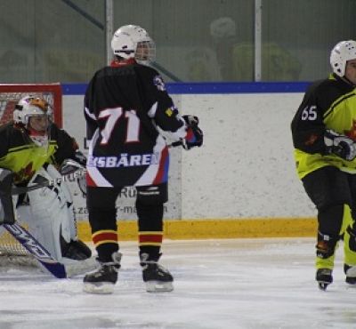 20120130_1829544992_eisbaeren11.jpg