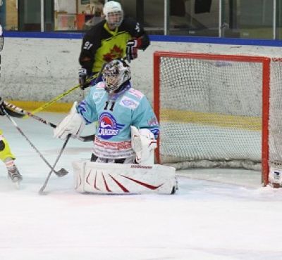 20120130_2021365335_eisbaeren4.jpg